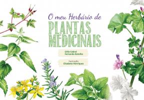 O meu Herbário de Plantas Medicinais